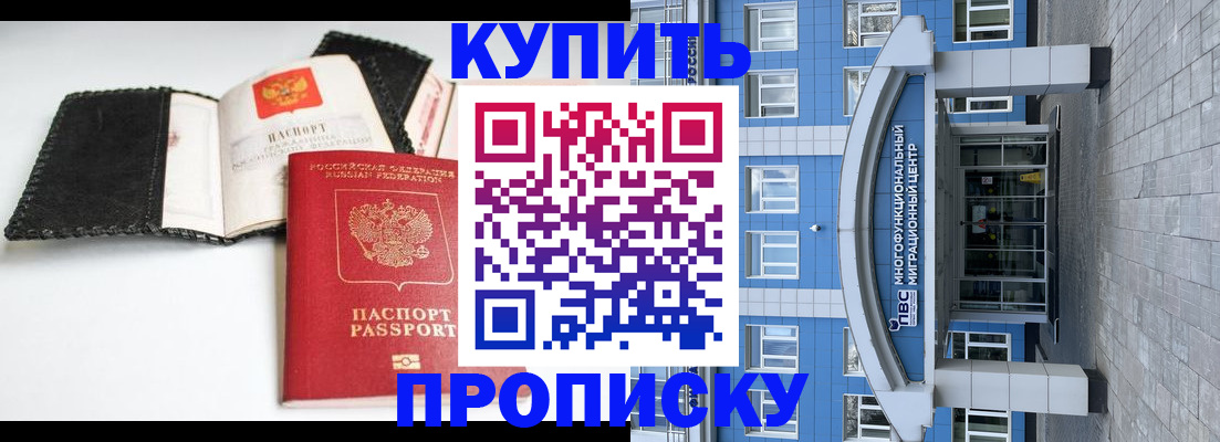 прописка гарантия в Стародубе